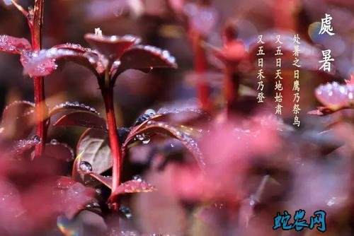 什么是岁破日和月破日 处暑风水堂:处暑，结婚黄道吉日!