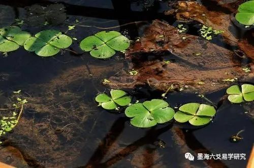 游魂卦 归魂卦_六爻中游魂卦和归魂卦的特点_游魂卦