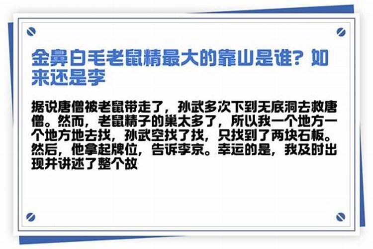 易经揭秘六月运势：四个生肖财运事业运迎春天，属鼠者机遇重重财源广进