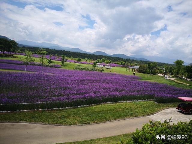 六爻预测入门指南：掌握本卦与变卦，轻松突破入门关